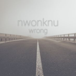 Download track Wrong, Pt. I Nwonknu