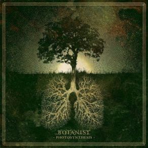 Download track Palisade The Botanist