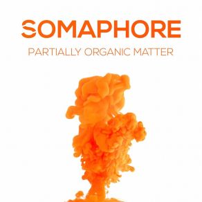 Download track Sonic Venture Somaphore