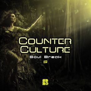 Download track Jazz Flavour (Original Mix) Counter Culture