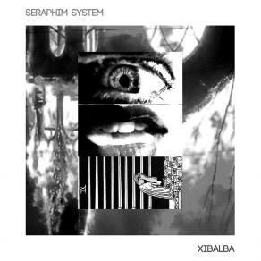 Download track Mark Of The Void Seraphim System