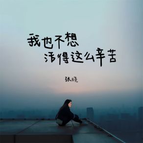 Download track 我也不想活得这么辛苦 Xiao Zhang