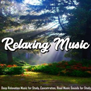 Download track Peaceful Vibrations Relaxing Music Therapy