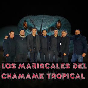 Download track Borracho Sin Destino LOS MARISCALES DEL CHAMAME TROPICAL