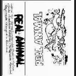 Download track Real Animal - 01 - Eternal Pain Real Animal