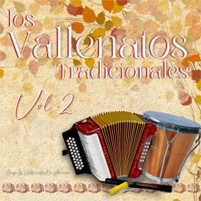 Download track Compañera Del Alma Grupo Los Vallenatos De America