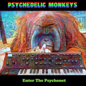 Download track Mushroom Stories (Subidon De Calle Blai Mix) Psychedelic Monkeys