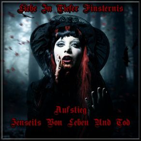 Download track Aufstieg Jenseits Von Leben Und Tod (Radio Edit) Liebe In Tiefer Finsternis