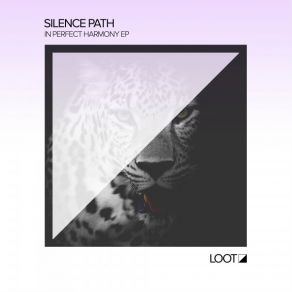 Download track Nebula Silence Path