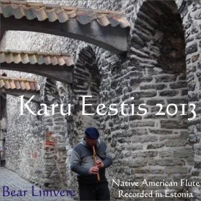 Download track Ruins Of Tartu Toomkirik Bear Limvere