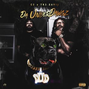 Download track TAKE IT DERE Da UnderdawgzTr3 Savij, C3 OWWW