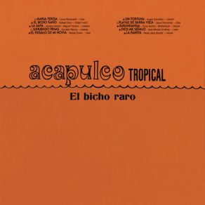 Download track Playas De Barra Vieja Acapulco Tropical