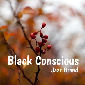 Download track Right Mixed Jazz Brand