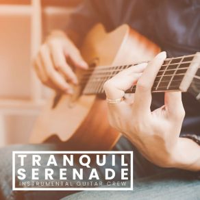 Download track Serene Melodies Instrumental Guitar Crew