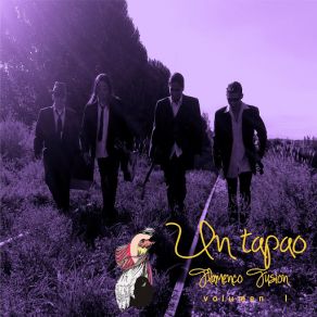 Download track Mujer Niña Y Amiga. Un Tapao - Flamenco Fusión