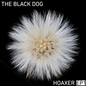 Download track Who He Was (FE RMX) The Black Dog