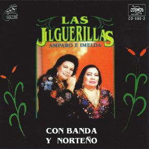 Download track Zenaida Ingrata Las Jilguerillas