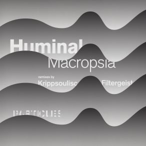 Download track Macropsia (Krippsoulisc Remix) Huminal