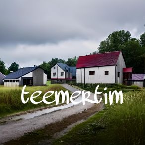 Download track Dust And Haze Teemertim