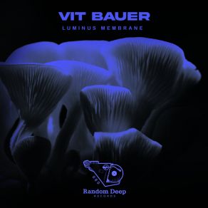 Download track Raining On A Hat Vit Bauer