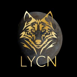 Download track Moonshine LYCN