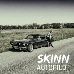 Download track Lysglimt Skinn