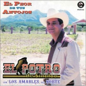 Download track Los Anos Que Yo Tengo Los Amables Del Norte