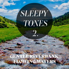 Download track Gentle Riverbank Flowing Waters, Pt. 8 Jason Rivers