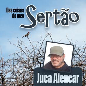 Download track Voltei Juca Alencar