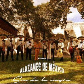 Download track Quien Iba A Pensar Que Tú Mariachi Alazanes De México