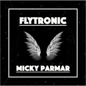 Download track Fly House Micky Parmar