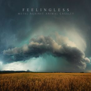 Download track Anxiety FeelinglessRise To Fall, Dalay Tarda