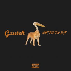 Download track What Did You Say? Gzutek