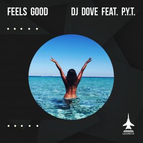 Download track Feels Good (Instrumental) P. Y. TΟΡΓΑΝΙΚΟ