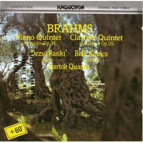 Download track 06. Clarinet Quintet In B Minor Op. 115 - 2. Adagio Johannes Brahms