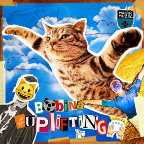 Download track Flying Kitten (Original Mix) Bobina