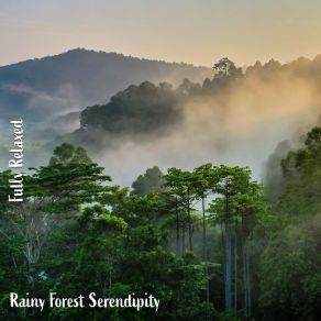 Download track Rainy Forest Serendipity, Pt. 12 Steve Brassel