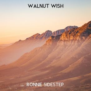 Download track Walnut Wish Ronnie Sidestep