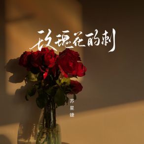 Download track 玫瑰花的刺 (校园广播版) 苏星婕