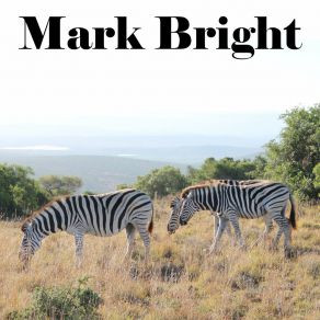 Download track I Got Your Chick Mark Bright