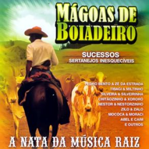 Download track João De Barro Mágoa De Boiadeiro