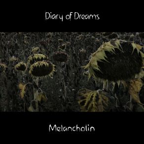 Download track Beyond The Void Diary Of Dreams