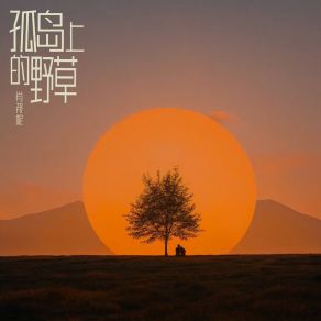 Download track 孤岛上的野草 肖邦妮