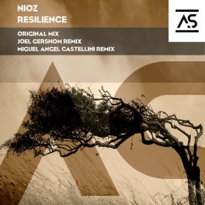 Download track Resilience (Miguel Angel Castellini Extended Remix) Miguel Angel Castellini