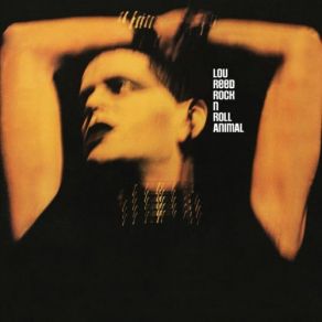 Download track Rock 'n' Roll Lou Reed