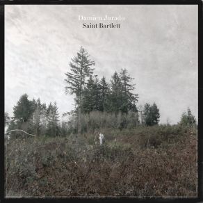 Download track Beacon Hill Damien Jurado