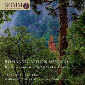 Download track Grieg: Violin Sonata No. 3 In C Minor, Op. 45: II. Allegretto Espressivo Alla Romanza The Carlock-Combet Duo