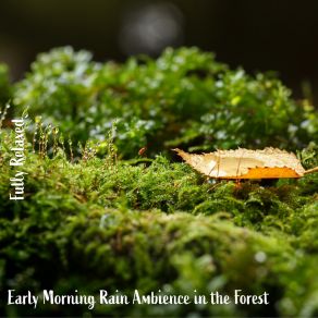 Download track Early Morning Rain Ambience In The Forest, Pt. 10 Steve Brassel