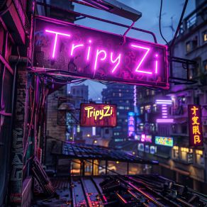 Download track Ladys Night Tripy Zi