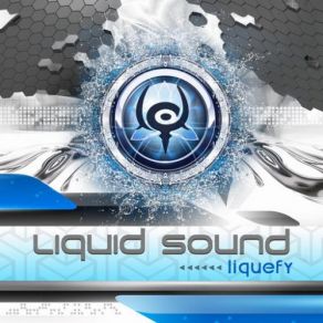 Download track Everything About Her Liquid Sound